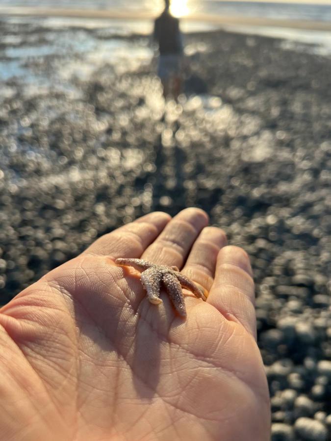 Les Petites Canailles Rooftop Cayeux-sur-Mer